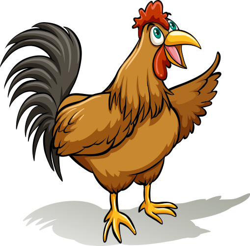 Rooster Illustration