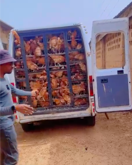 Biosecure Goat & Poultry Farm