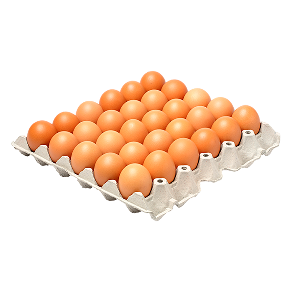 Eggs Thumb
